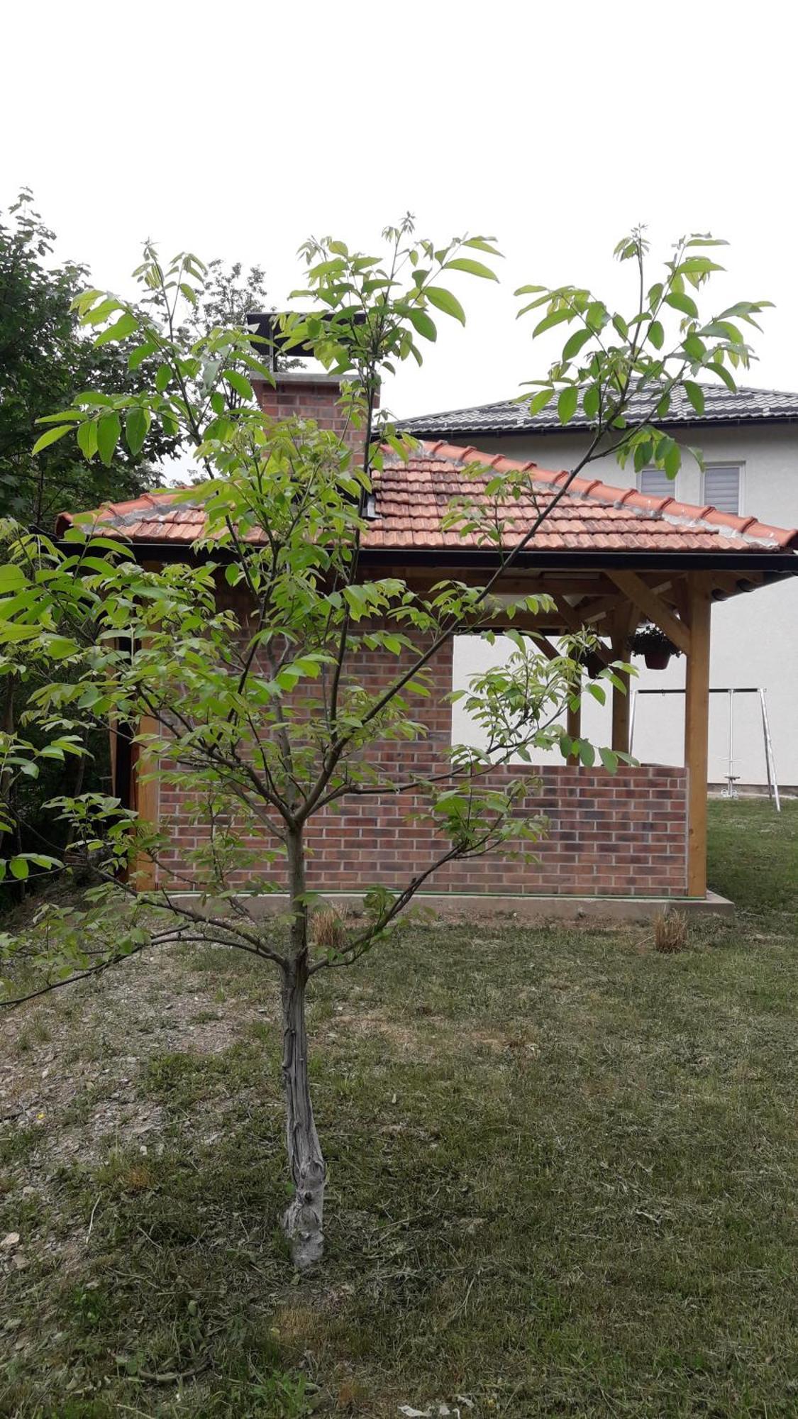 Nadia'S Home Ilidža Стая снимка